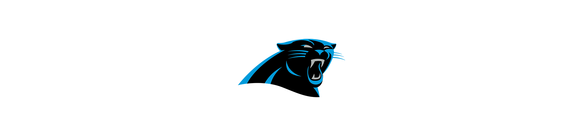 Rico NFL Carolina Panthers Round Decal