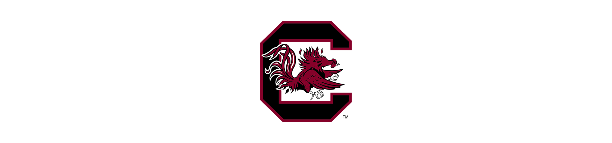 SOUTH CAROLINA GAMECOCKS BANK PIGGY LOGO ALL OVER - Jenkins Enterprises