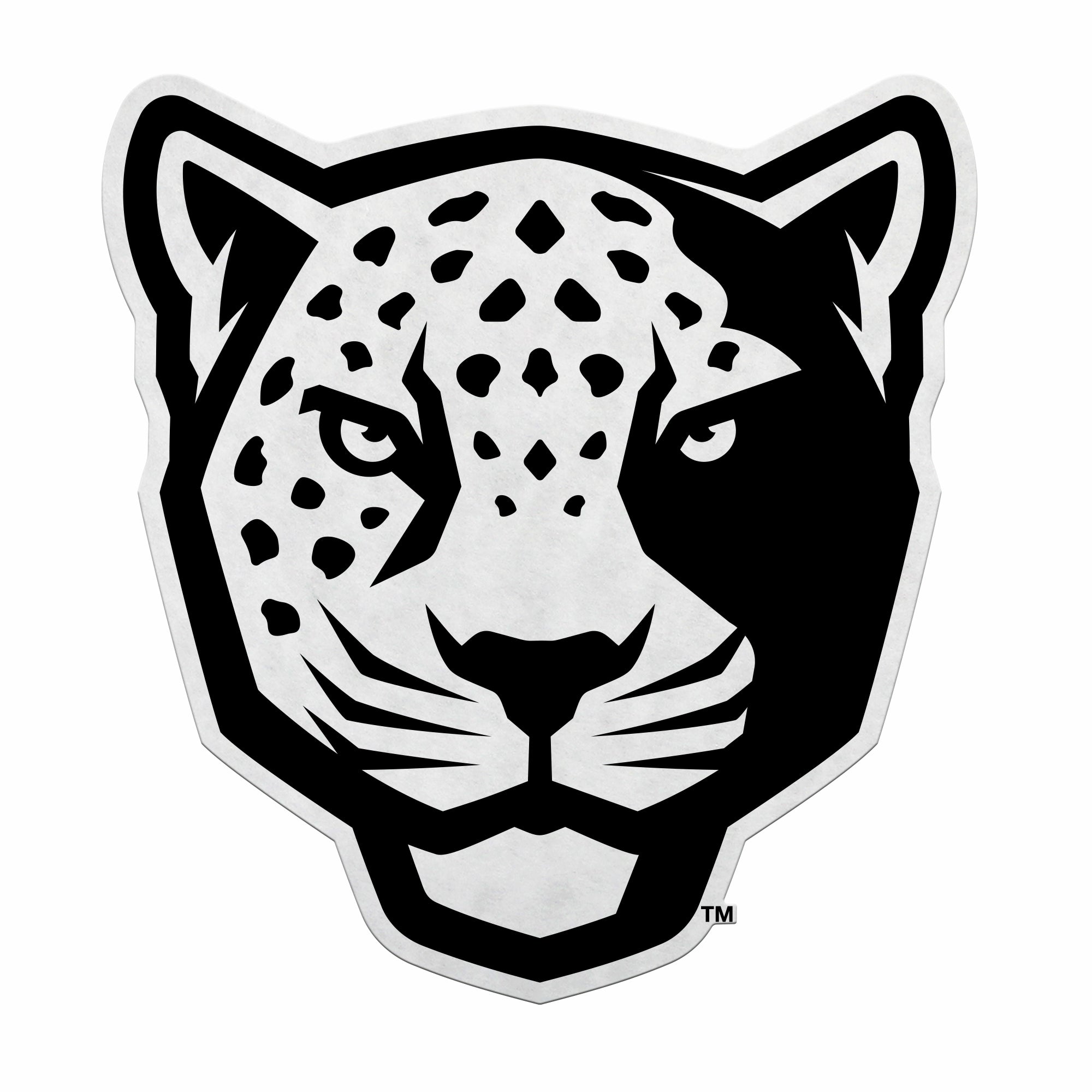 Texas A&MSan Antonio Jaguars Felt Shape Cut Pennant Primary Logo