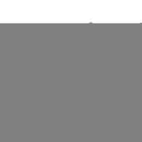 NCAA Florida State Seminoles Antique Nickel Auto Emblem for Car/Truck/SUV By Rico Industries