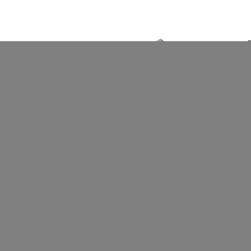 NCAA Florida State Seminoles Antique Nickel Auto Emblem for Car/Truck/SUV By Rico Industries