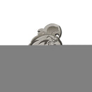 NCAA Coastal Carolina Chanticleers Antique Nickel Auto Emblem for Car/Truck/SUV By Rico Industries