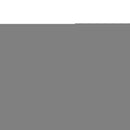 NFL Detroit Lions Antique Nickel Auto Emblem for Car/Truck/SUV By Rico Industries