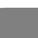 Steelers Carbon Fiber Design All Over Chrome Frame