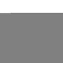 Lions Carbon Fiber Design All Over Chrome Frame