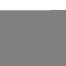 Clarkson Golden Knights All Over Chrome License Plate Frame