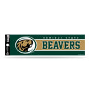 Bemidji Bumper Sticker