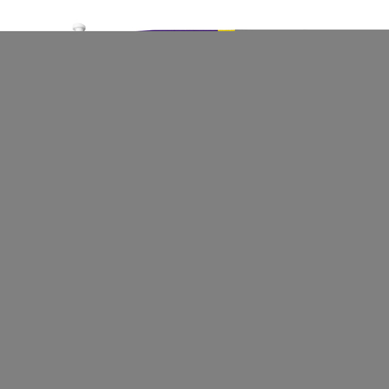 East Carolina "Pirate Country" Car Flag