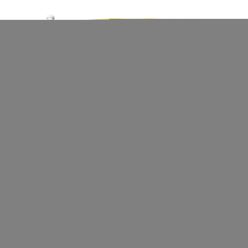 Valparaiso University Car Flag