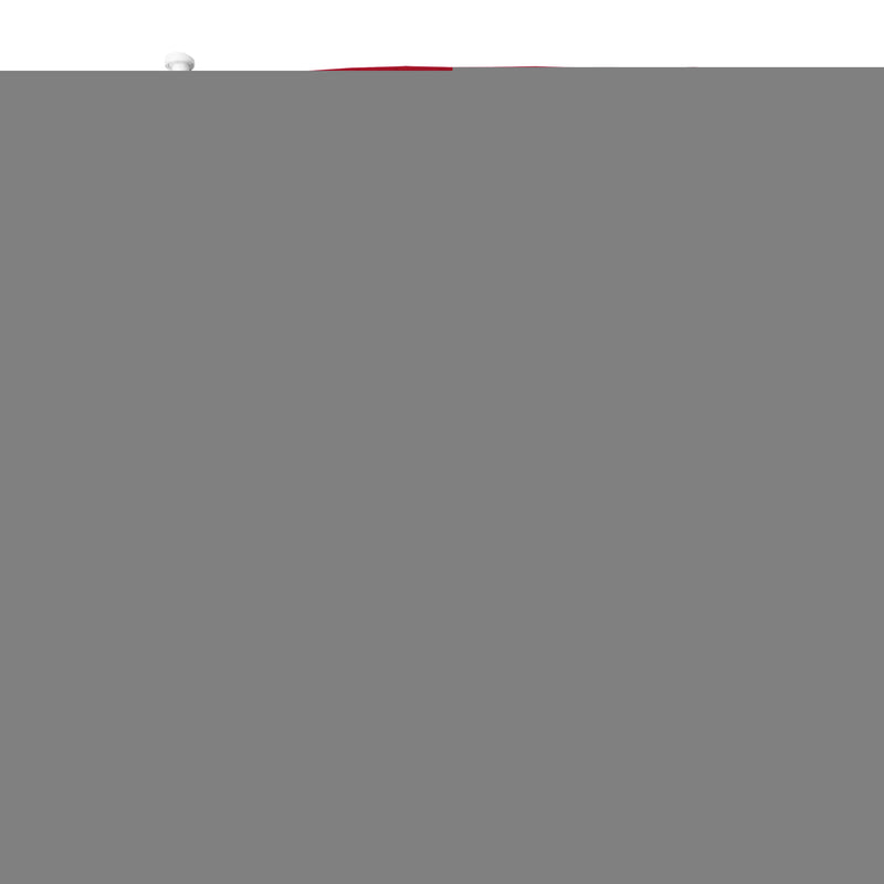 Tb Buccaneers Primary Logo Car Flag - Red Bkg