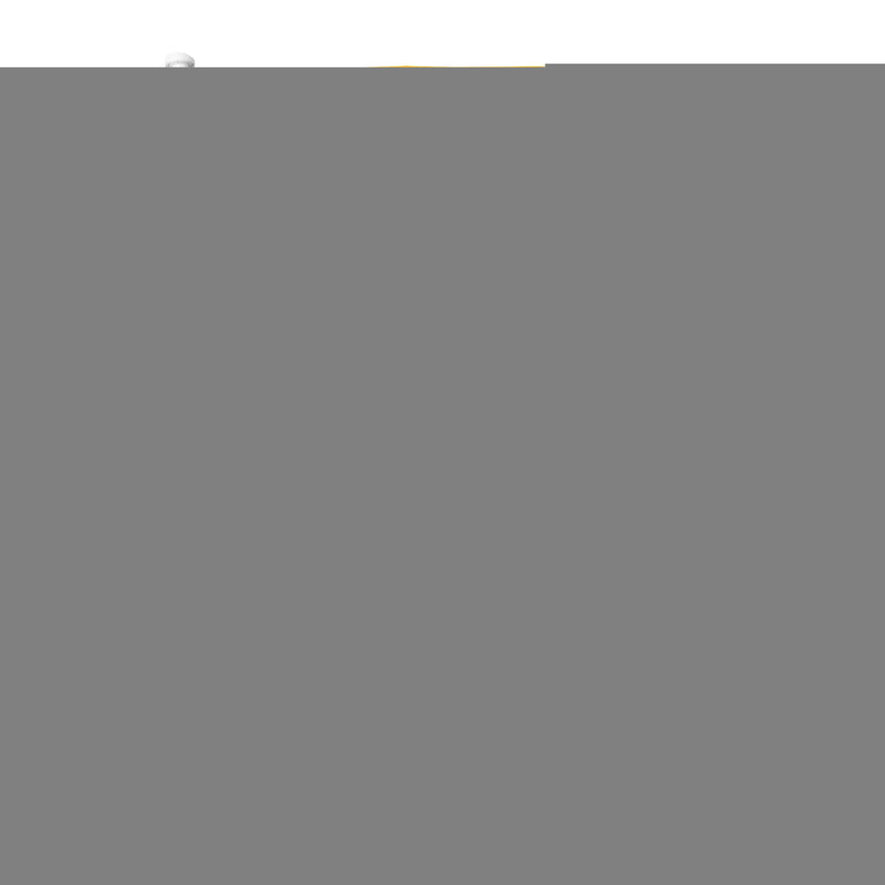 Long Beach State Car Flag (White Pole)
