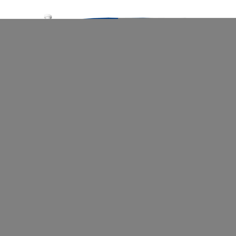 Warriors Car Flag - Blue