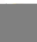 Warriors - Strength In Numbers - Yellow Car Flag