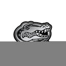 Florida Molded Emblem