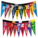 Big Ten Conference Complete Mini Pennant Set (Conference Set)