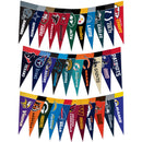 Complete NFL Mini Pennant Set