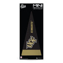 Central Florida Knights 4" x 9" Mini Pennants (8-pc)