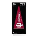 Indiana Hoosiers 8 Piece Mini Pennant Pack