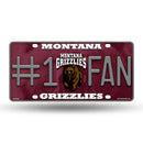 University/Montana