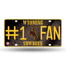 University/Wyoming