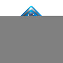 Detroit Lions Metal Wall Sign (16.5 X 16.5")