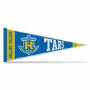 Rollins Tars Rally Soft Felt Pennant (12x30")