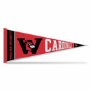 Wesleyan University Cardinals Rally Soft Felt Pennant (12x30")