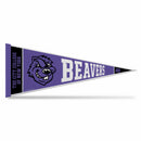 City Cuny Beavers Rally Soft Felt Pennant (12x30")