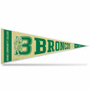 Bronx Community College Broncos Rally Design Soft Felt Carded Pennant (12" X 30")