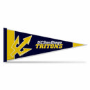 UC San Diego Tritons Rally Soft Felt Pennant (12x30")