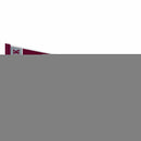 Arkansas–Little Rock Trojans Rally Soft Felt Pennant (12x30")