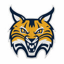 Quinnipiac Bobcats Felt Shape Cut Pennant - Primary Logo