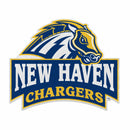 New Haven Chargers Felt Shape Cut Pennant - Primary Logo