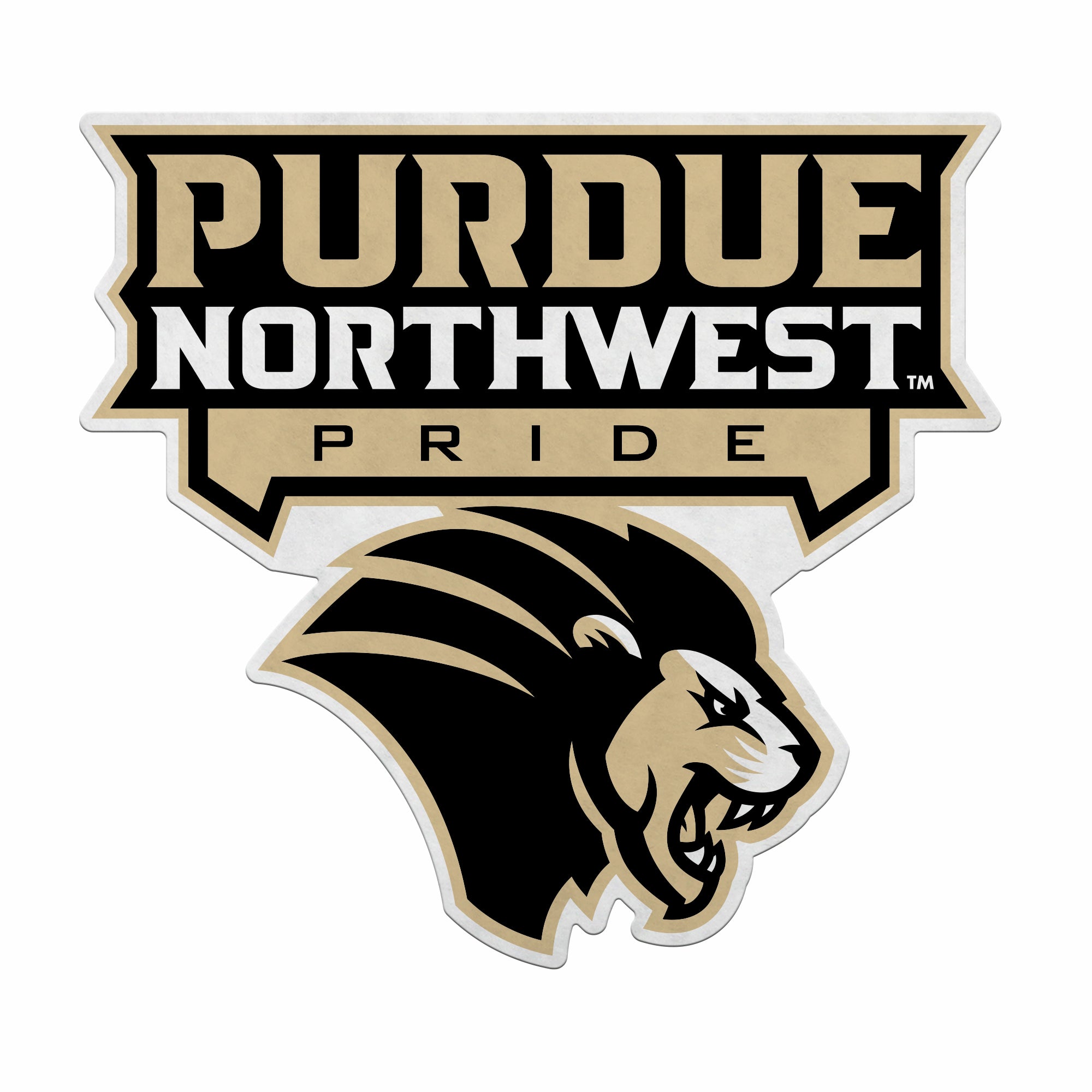 Purdue Northwest Pride Felt Shape Cut Pennant - Primary Logo