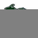 Eastern Michigan University 18" State Shape Cut Pennant