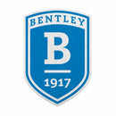 Bentley Falcons Felt Shape Cut Pennant - Primary Logo