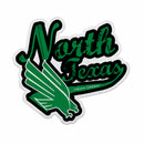 North Texas Shape Cut Pennant - Distressed Design