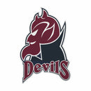 Fairleigh Dickinson Knights Felt Shape Cut Pennant - Primary Logo