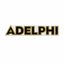 Adelphi University Panthers Felt Shape Cut Pennant - Primary Logo