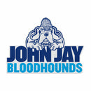 John Jay Bloodhounds Felt Shape Cut Pennant - Primary Logo
