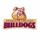 Brooklyn Bulldogs Felt Shape Cut Pennant - Primary Logo