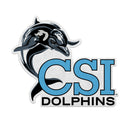 College Of Staten Island Dolphins Shape Cut Pennant - Primary Logo