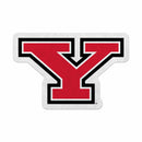 Youngstown Shape Cut Primary Logo Pennant With Header Card