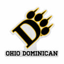 Ohio Dominican Panthers Felt Shape Cut Pennant - Primary Logo