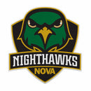 NOVA Nighthawks Felt Shape Cut Pennant - Primary Logo