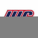 Illinois-Chicago Flames Felt Shape Cut Pennant - Primary Logo
