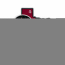 Houston Rockets 18" State Shape Pennant