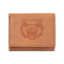 Central Arkansas Embossed Trifold