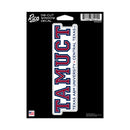 Texas A&M–Central Texas Warriors Medium Die Cut Decal