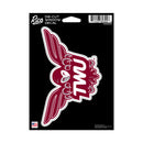 Texas Woman's Pioneers Medium Die Cut Decal